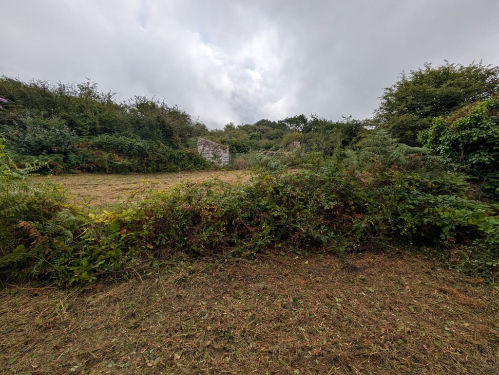 Lot: 106 - FREEHOLD LAND WITH LAKE AND DISUSED BUILDINGS - View of part of the land